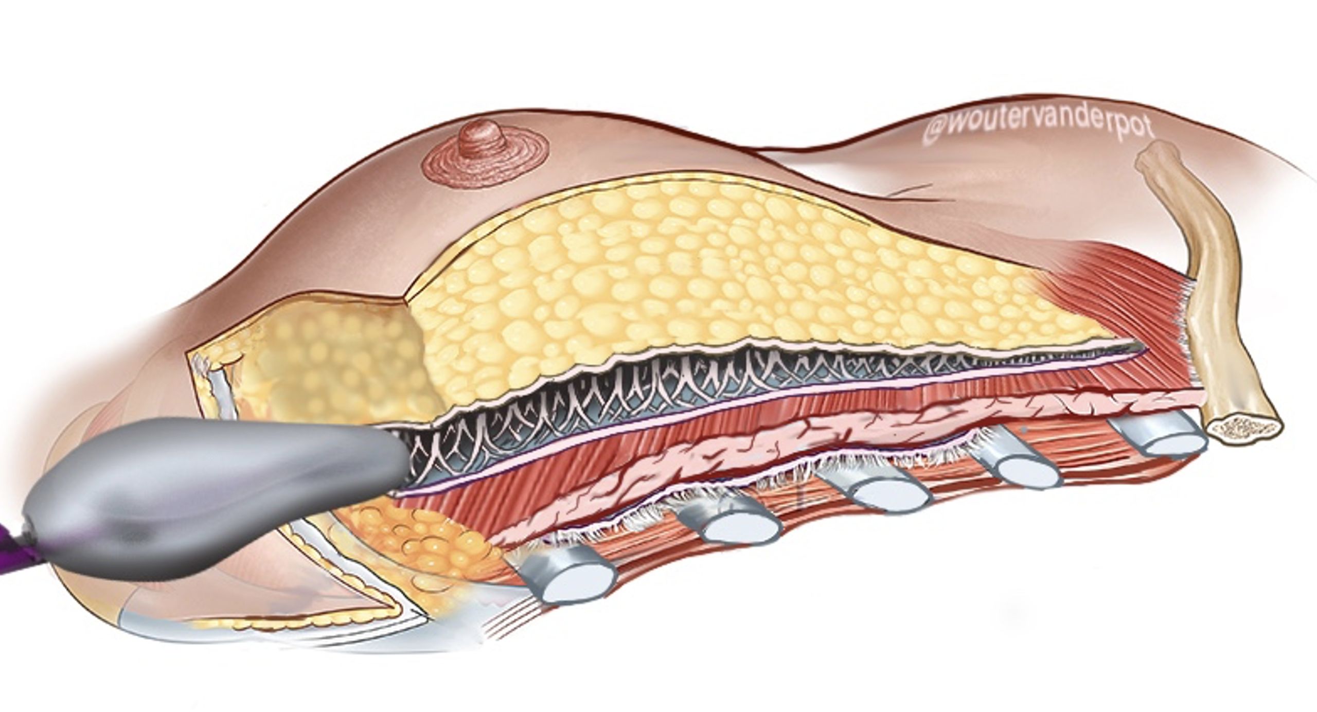 Scherm­afbeelding 2025 12 10 om 18.18.06