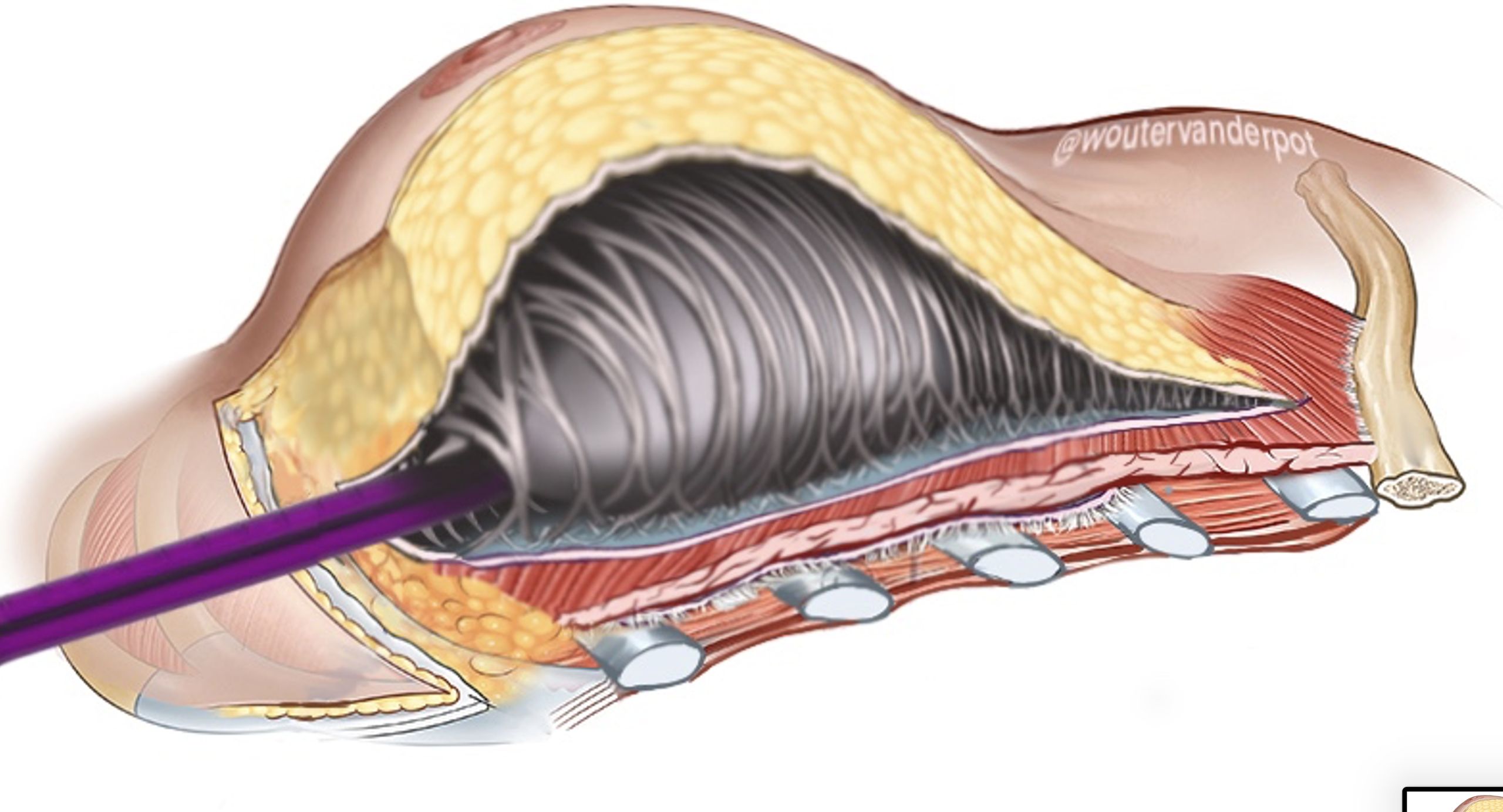 Scherm­afbeelding 2025 12 10 om 18.18.26