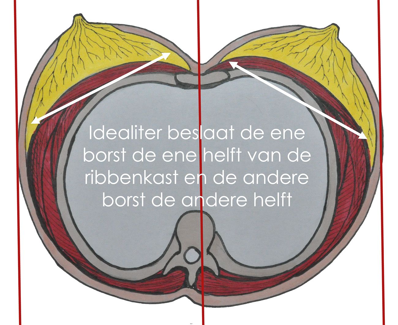 Scherm­afbeelding 2026 01 24 om 09.41